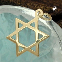 pendant 21x18mm star of david shiny 9k gold