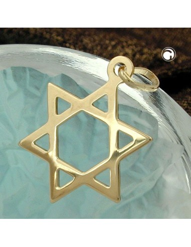 pendant 21x18mm star of david shiny 9k gold