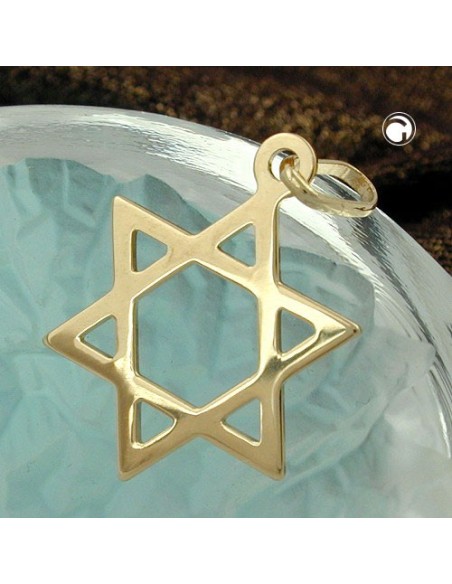 pendant 21x18mm star of david shiny 9k gold