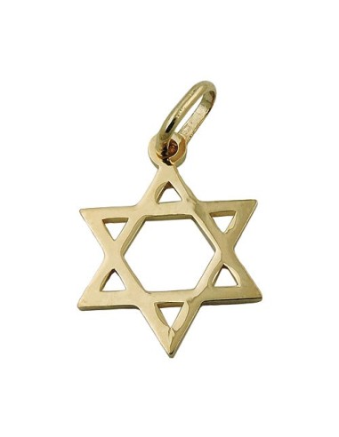 pendant 21x18mm star of david shiny 9k gold
