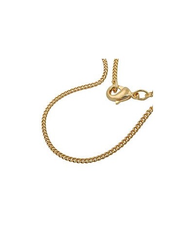 curb chain 50cm gold plated