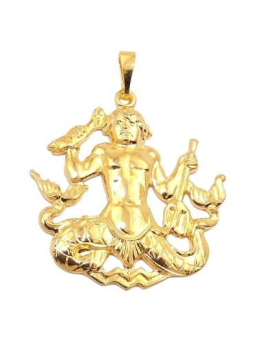 zodiac pendant aquarius gold plated