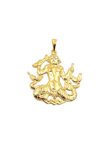zodiac pendant aquarius gold plated