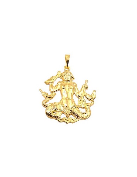zodiac pendant aquarius gold plated