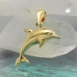 pendant 18x8mm dolphin shiny 9k gold