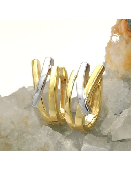 hoop earrings bicolor 9k gold