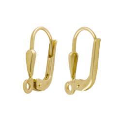 leverback shiny spare part gold 333 8k