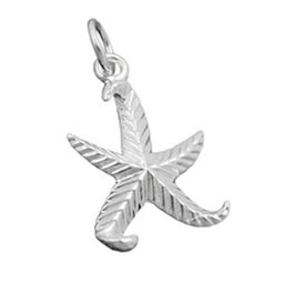 Hängsmycke 20mm Starfish Patterned Silver 925