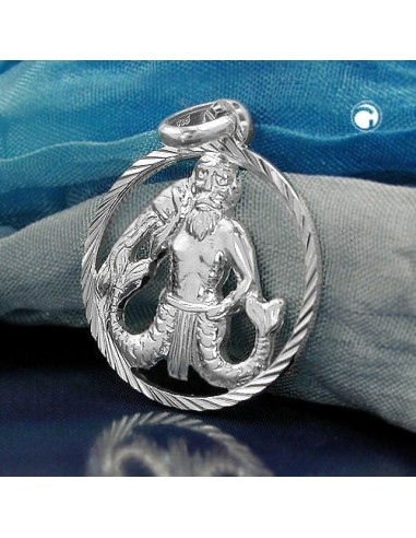 Hängsmycke Aquarius Silver 925