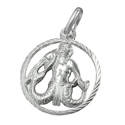 Hängsmycke Aquarius Silver 925