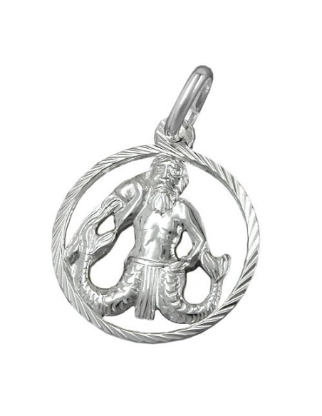 Hängsmycke Aquarius Silver 925