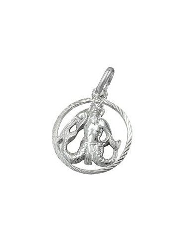 Hängsmycke Aquarius Silver 925