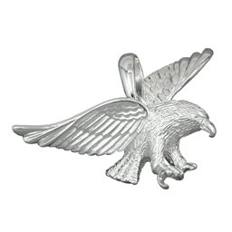Hängsmycke Eagle 40mm Wide Silver 925
