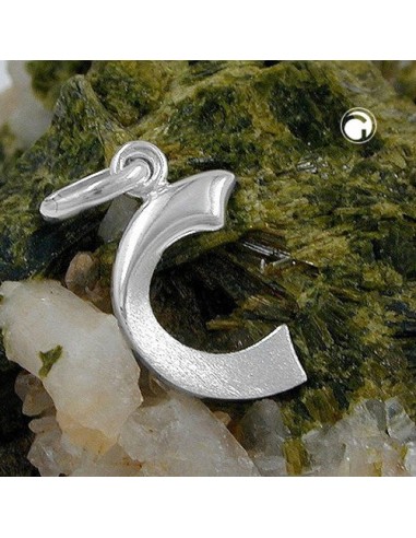 Hängsmycke Initial C Silver 925