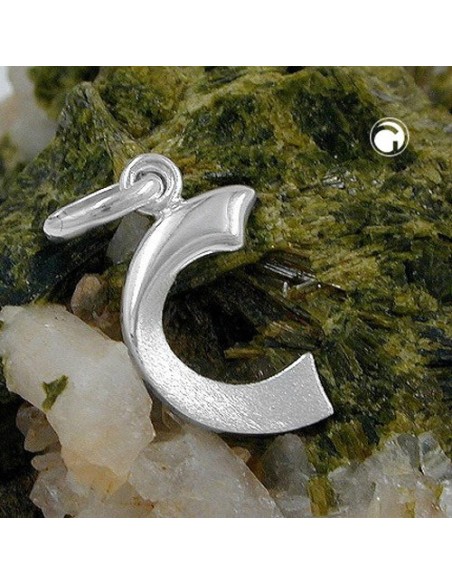 Hängsmycke Initial C Silver 925