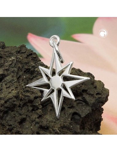 Hängsmycke Star Compass Windrose Silver 925