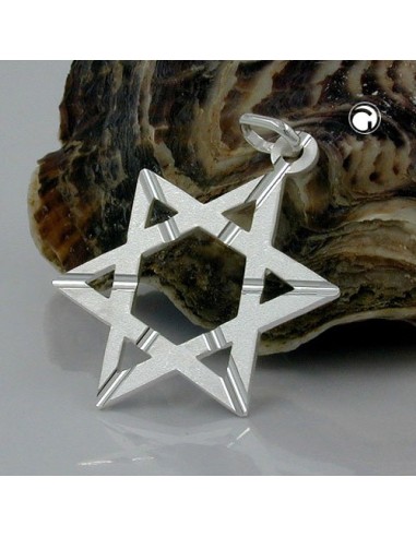 Hängsmycke Star Of David Silver 925