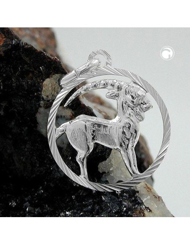 Hängsmycke Stjärntecken Sign Capricorn Silver 925