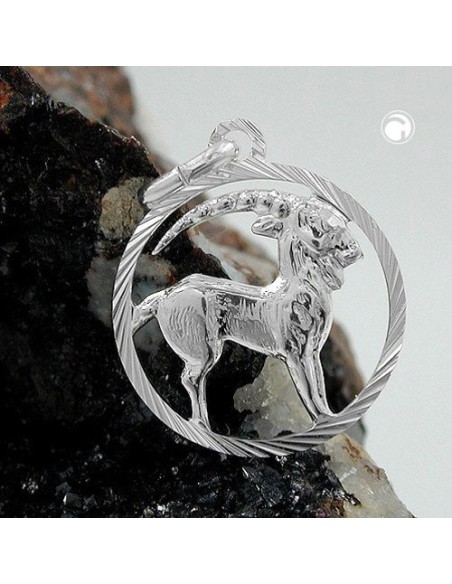 Hängsmycke Stjärntecken Sign Capricorn Silver 925