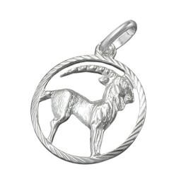 Hängsmycke Stjärntecken Sign Capricorn Silver 925