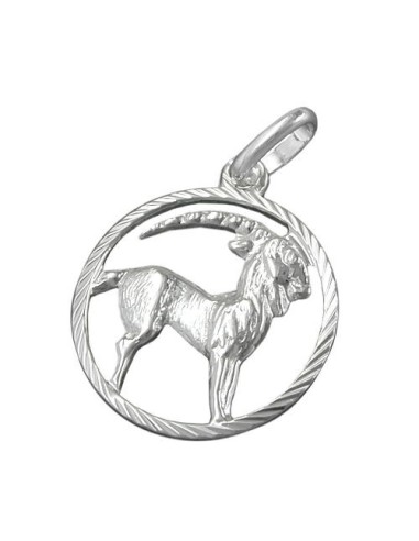 Hängsmycke Stjärntecken Sign Capricorn Silver 925