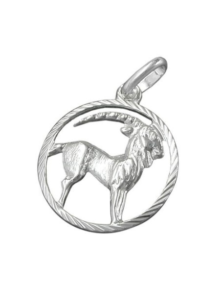 Hängsmycke Stjärntecken Sign Capricorn Silver 925