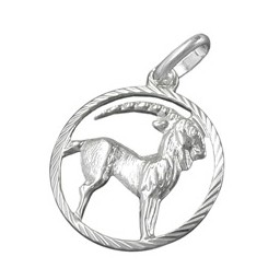 Hängsmycke Stjärntecken Sign Capricorn Silver 925
