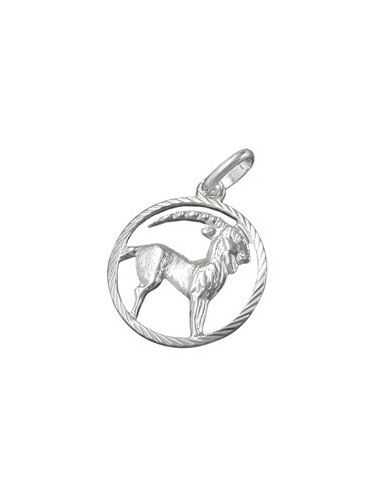 Hängsmycke Stjärntecken Sign Capricorn Silver 925