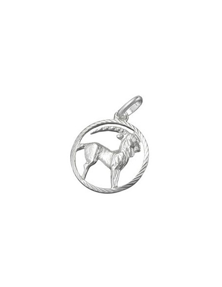 Hängsmycke Stjärntecken Sign Capricorn Silver 925