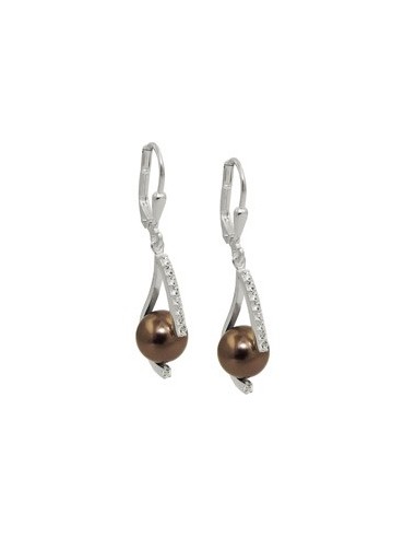 Leverback Örhängen Zirconia Silver 925