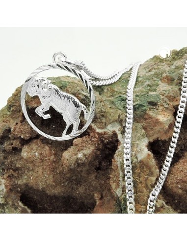 Set Stjärntecken Aries + Kedja Silver 925