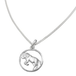 Set Stjärntecken Aries + Kedja Silver 925