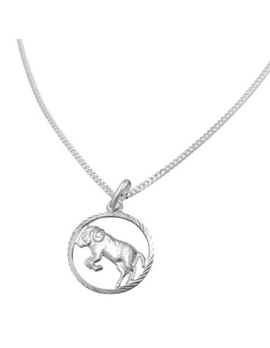Set Stjärntecken Aries + Kedja Silver 925