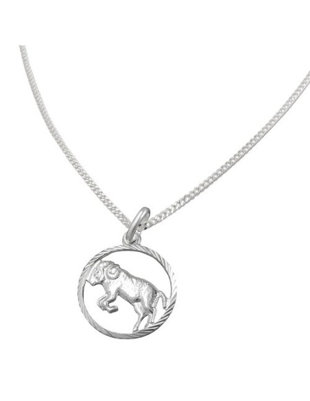 Set Stjärntecken Aries + Kedja Silver 925
