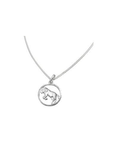 Set Stjärntecken Aries + Kedja Silver 925