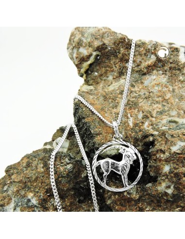 Set Stjärntecken Capricorn + Kedja Silver 925