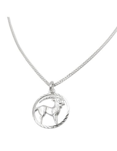 Set Stjärntecken Capricorn + Kedja Silver 925