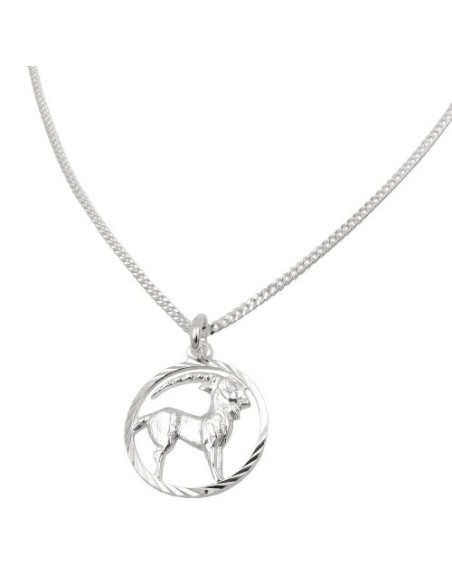 Set Stjärntecken Capricorn + Kedja Silver 925