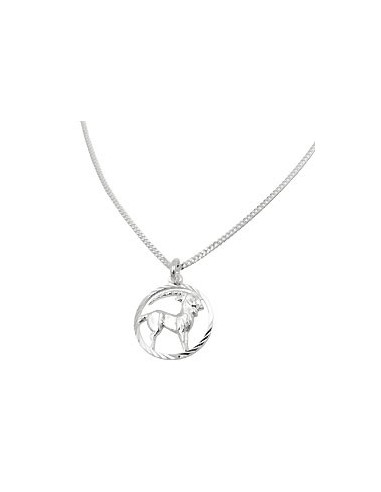Set Stjärntecken Capricorn + Kedja Silver 925