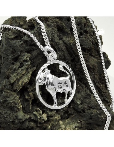 Set Stjärntecken Taurus + Kedja Silver 925