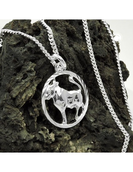 Set Stjärntecken Taurus + Kedja Silver 925
