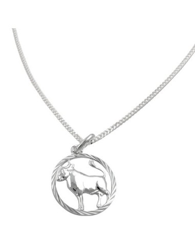 Set Stjärntecken Taurus + Kedja Silver 925