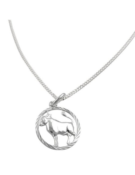 Set Stjärntecken Taurus + Kedja Silver 925