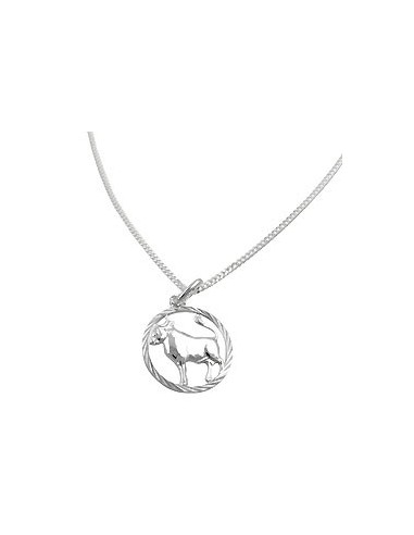 Set Stjärntecken Taurus + Kedja Silver 925