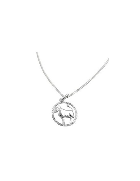 Set Stjärntecken Taurus + Kedja Silver 925