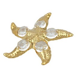 Star Fish With 5 Crystal Elements