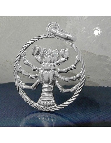 Stjärntecken Hängsmycke Cancer Silver 925