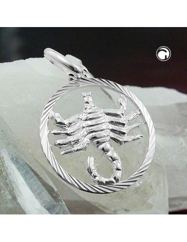 Stjärntecken Hängsmycke Scorpio Silver 925
