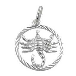 Stjärntecken Hängsmycke Scorpio Silver 925