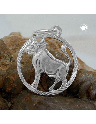 Stjärntecken Hängsmycke Taurus Silver 925